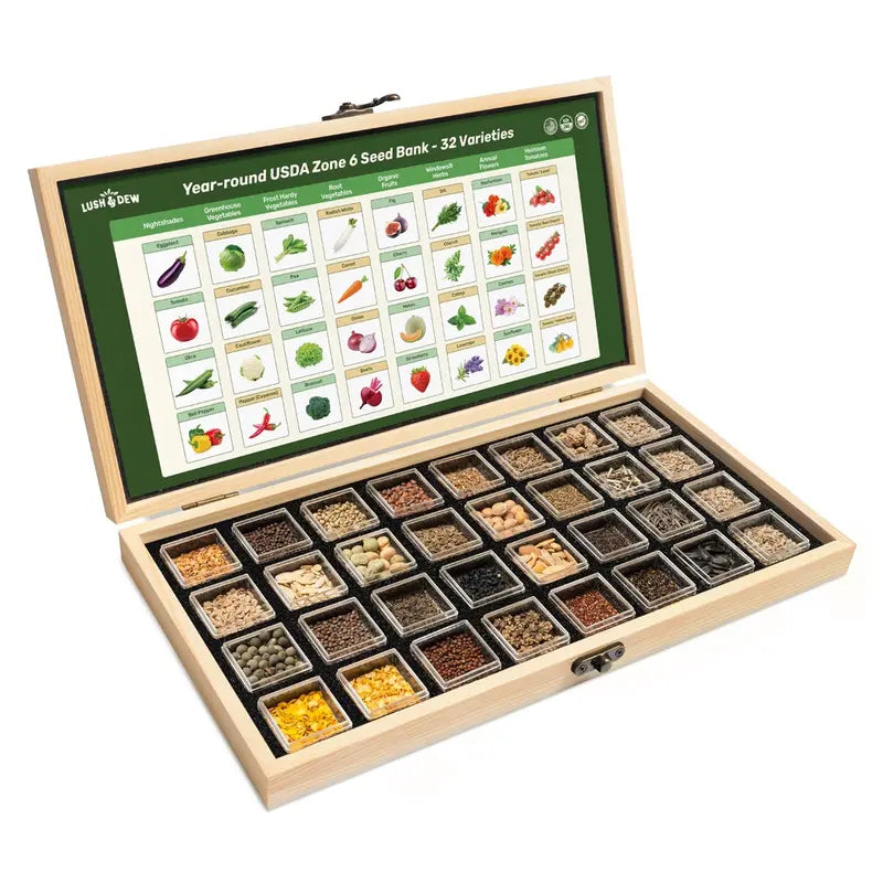 Year-Round USDA Zone 6 Seed Bank - 32 Organic Garden Plant Seed Varieties with Vegetables Herbs Flowers All Seasons Storage Box Included