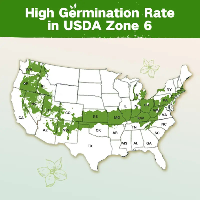 Year-Round USDA Zone 6 Seed Bank - 32 Organic Garden Plant Seed Varieties with Vegetables Herbs Flowers All Seasons Storage Box Included