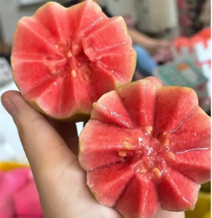 50 Seeds – Pink Guava Seeds for Planting – Suitable for Pots, Greenhouses, and Outdoor Gardens