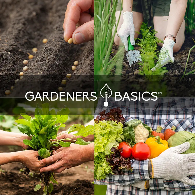 35 Pack Heirloom Vegetable Seeds – Survival Garden Variety Kit for Home Growing & Planting, Great Gardening Gift
