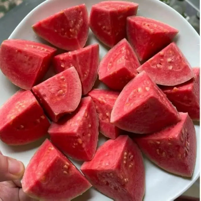 50 Seeds – Pink Guava Seeds for Planting – Suitable for Pots, Greenhouses, and Outdoor Gardens