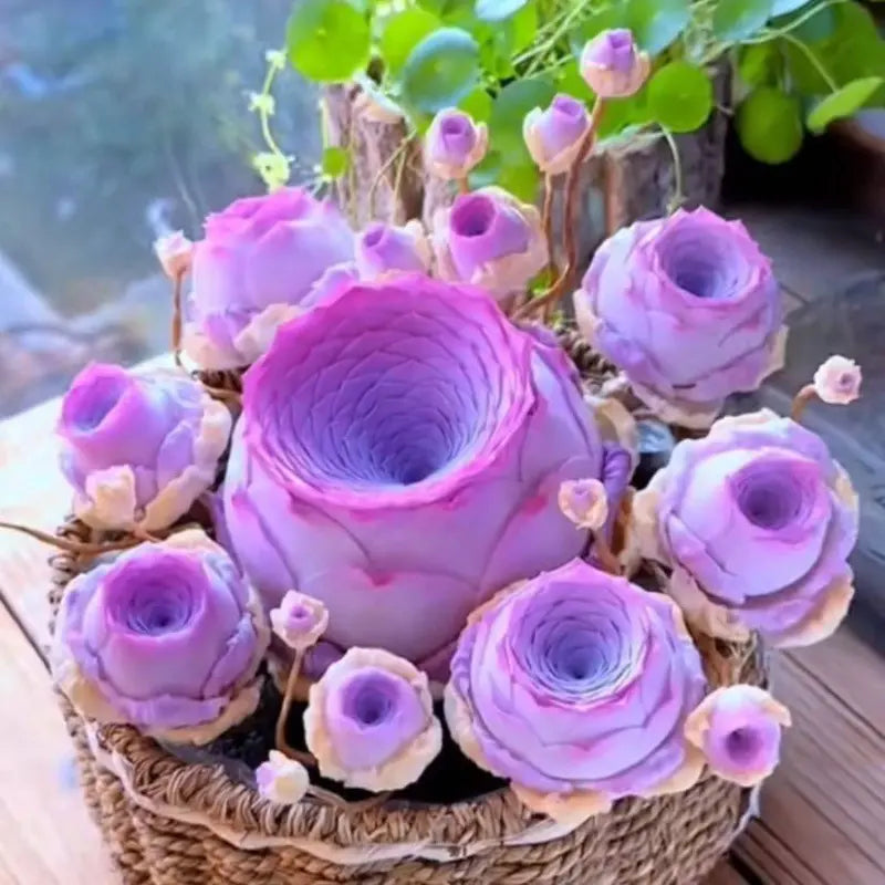 1000 Pcs Mixed Colors Succulent Rose Rare Succulent Plant Seed Group Multi-Headed Wine Glass Rose