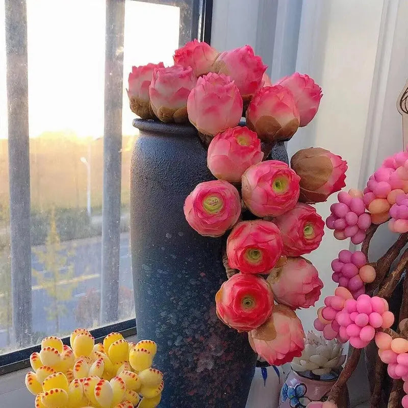 1000 Pcs Mixed Colors Succulent Rose Rare Succulent Plant Seed Group Multi-Headed Wine Glass Rose