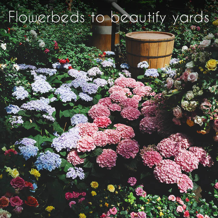 Wildflower, Perennial, & Annual Flower Seed Kit | 35 Variety Pack