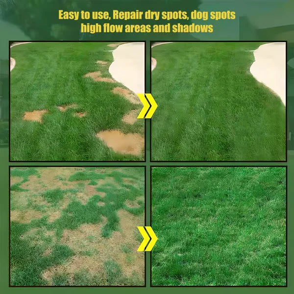Premium 5000-Piece Zoysia Grass Seed